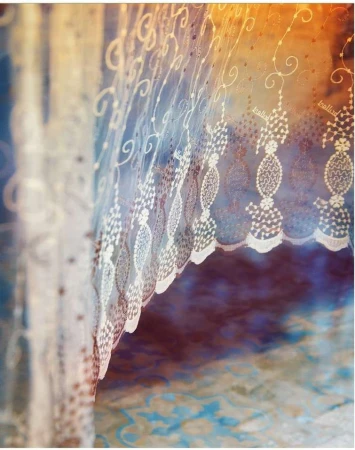 Close-up of a sheer white lace curtain with a delicate, ornate pattern, casting soft shadows on a blue and brown patterned surface.
