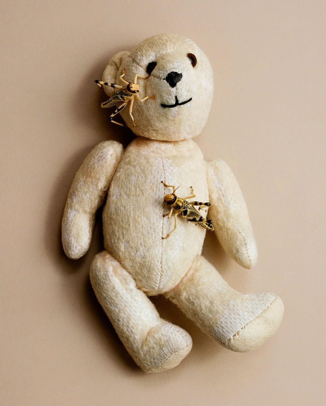 Stuffed teddy bear photographed indoors with two grasshopper insect props attached to the head and chest against a neutral background.