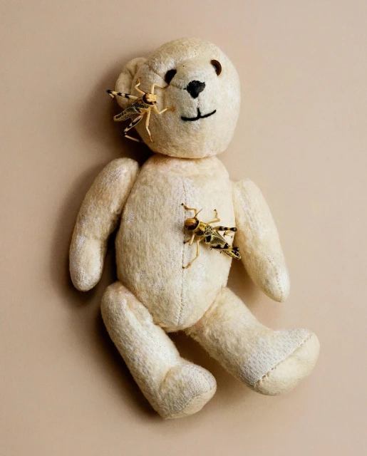 Stuffed teddy bear photographed indoors with two grasshopper insect props attached to the head and chest against a neutral background.