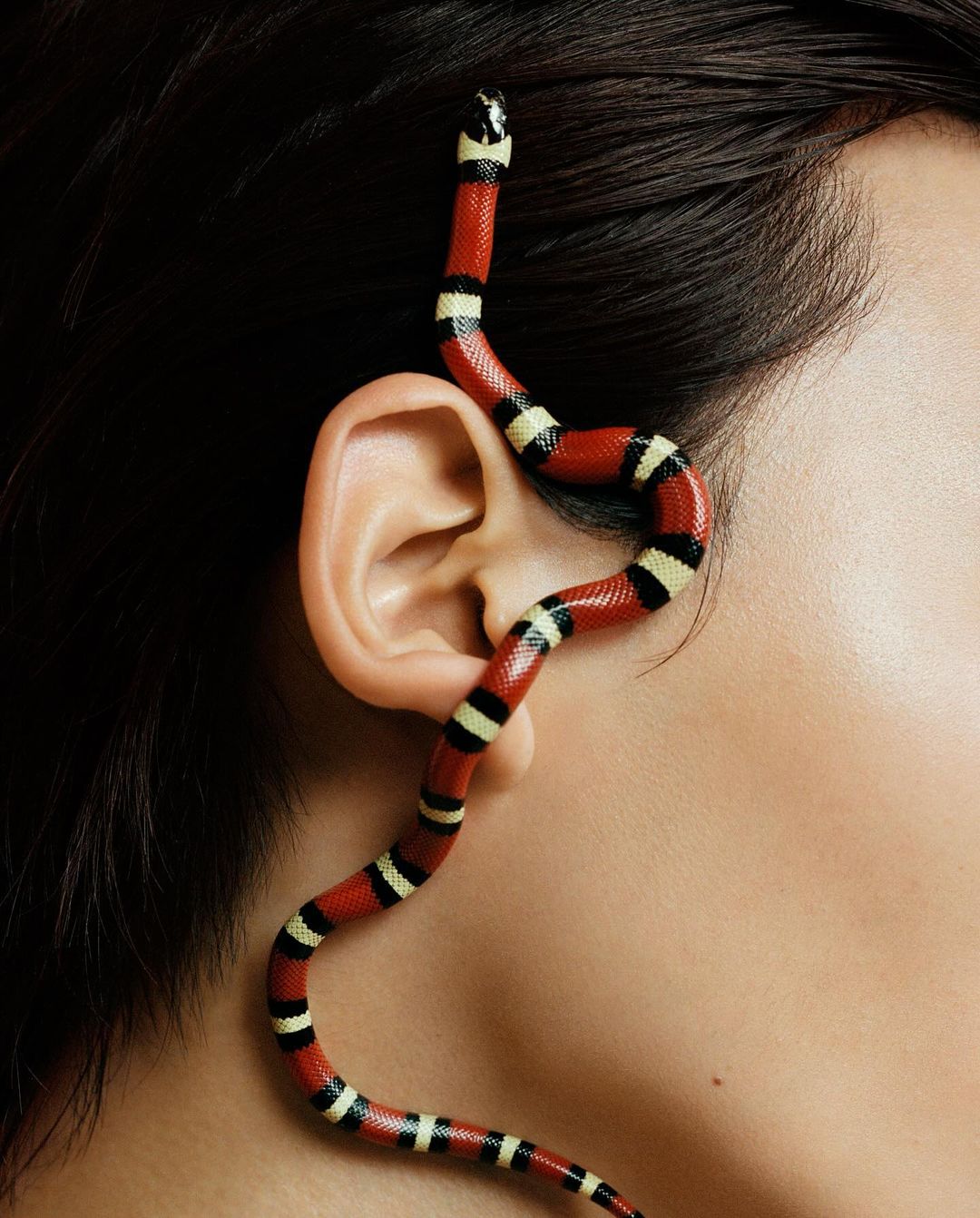 Close-up shot of a red, black, and white snake winding around an adult human ear against a blurred dark background.