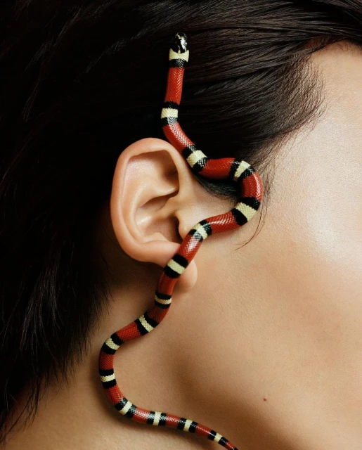 Close-up shot of a red, black, and white snake winding around an adult human ear against a blurred dark background.