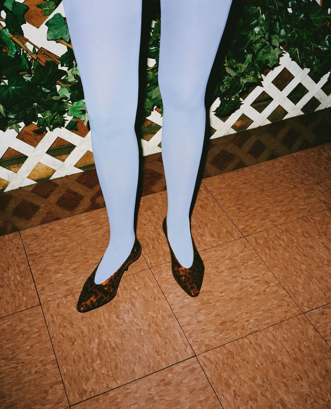 Close-up of a person's legs wearing light blue tights and brown and black patterned flats on a brown tile floor with a green plant.