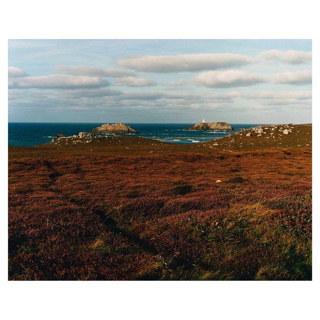 Coastal landscape featuring red coastal flora, turquoise sea, rocky islands, and a lighthouse under a partly cloudy sky.