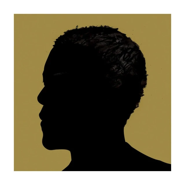 Silhouette of an adult African-descent male's head and upper neck in profile against a golden background, portrait orientation.