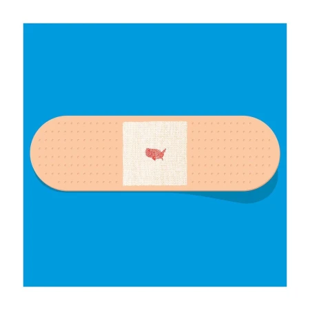 Adhesive bandage on a blue background featuring a silhouette of the USA in red on the bandage's pad, a health care concept illustration.