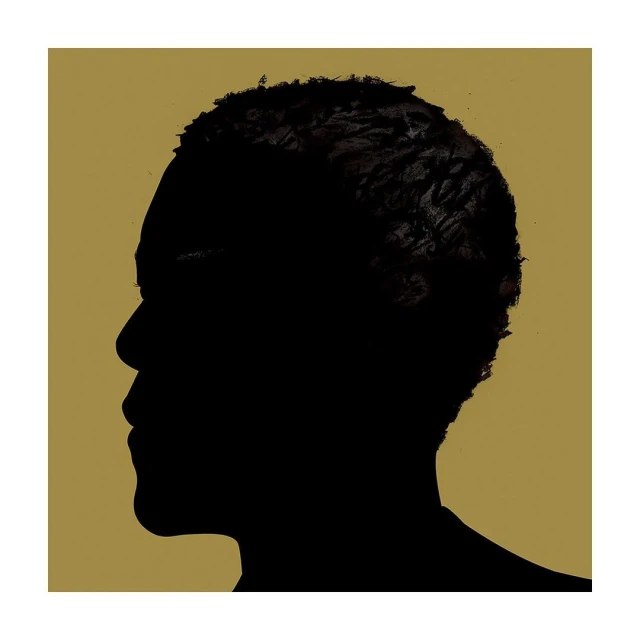 Silhouette portrait of an adult male with short hair in black against a gold background, creating a striking, artistic contrast.