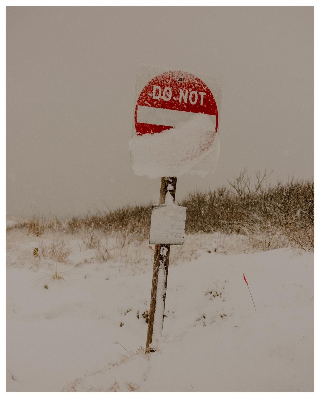 Snow-covered 'DO NOT' sign on a wooden post in a wintry landscape, with snowy ground and sparse vegetation, under an overcast sky.