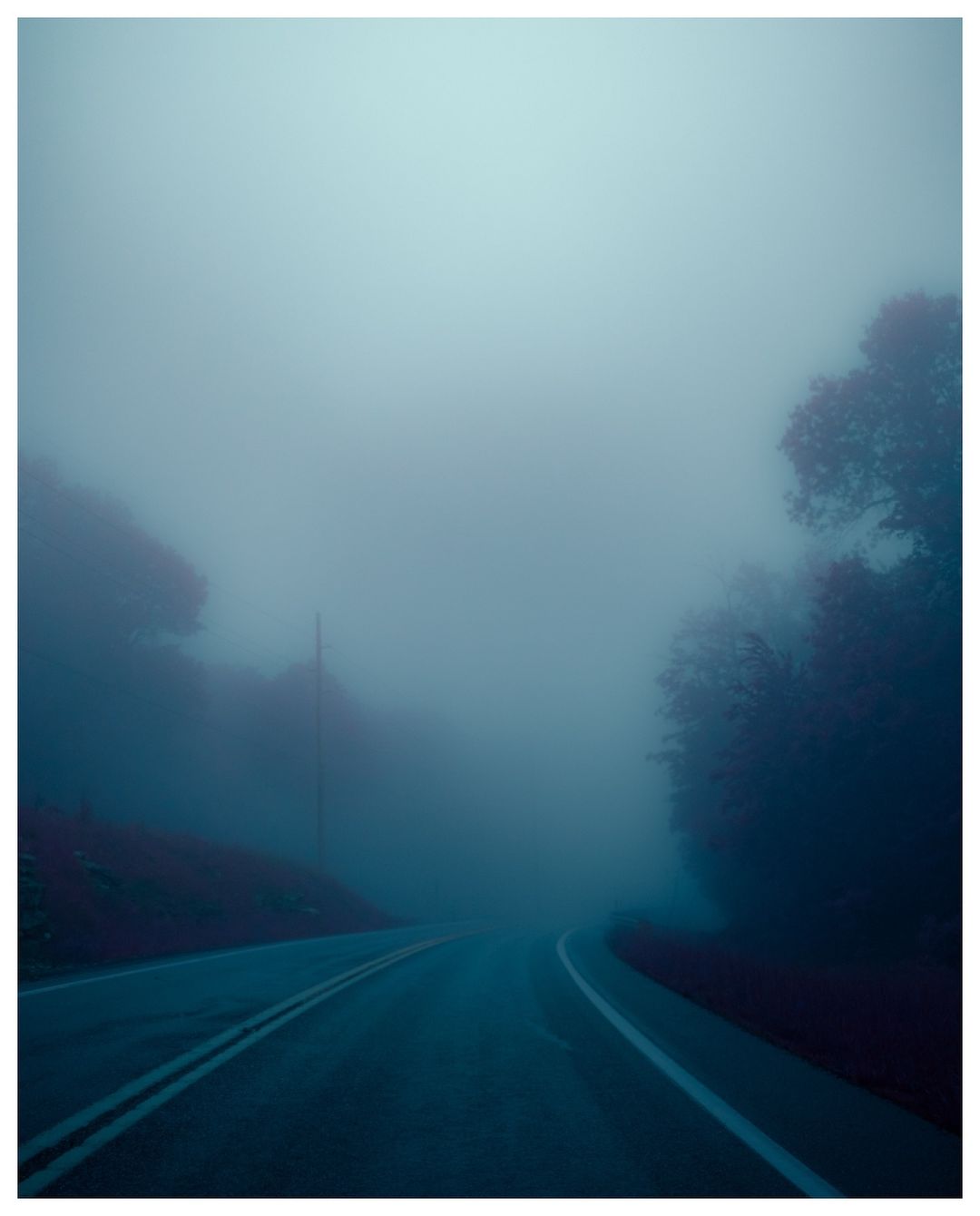 Moody photograph of a dark asphalt road curving into fog-shrouded woods with soft natural light filtering through the dense atmosphere.