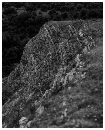 Monochrome landscape photograph of a rugged rocky cliffside with sparse vegetation and a dense forest in the background.