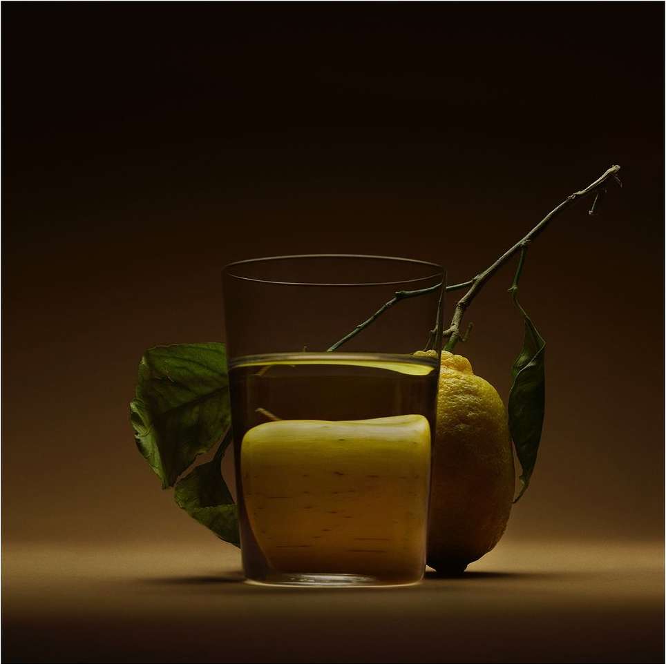Still life photography featuring a glass of liquid, a lemon, and a leafy branch, set against a dark brown background.