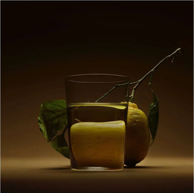Still life photography featuring a glass of liquid, a lemon, and a leafy branch, set against a dark brown background.