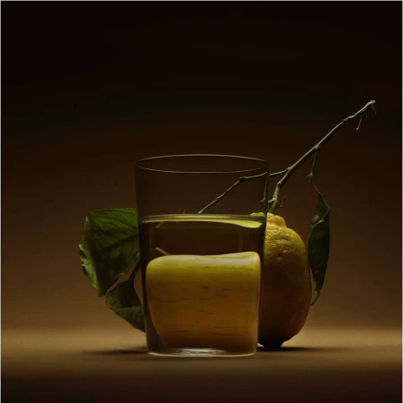 Still life photography featuring a glass of liquid, a lemon, and a leafy branch, set against a dark brown background.