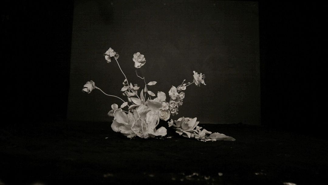 Monochromatic still life featuring a floral arrangement of white roses and leaves against a dark background in a studio setting.