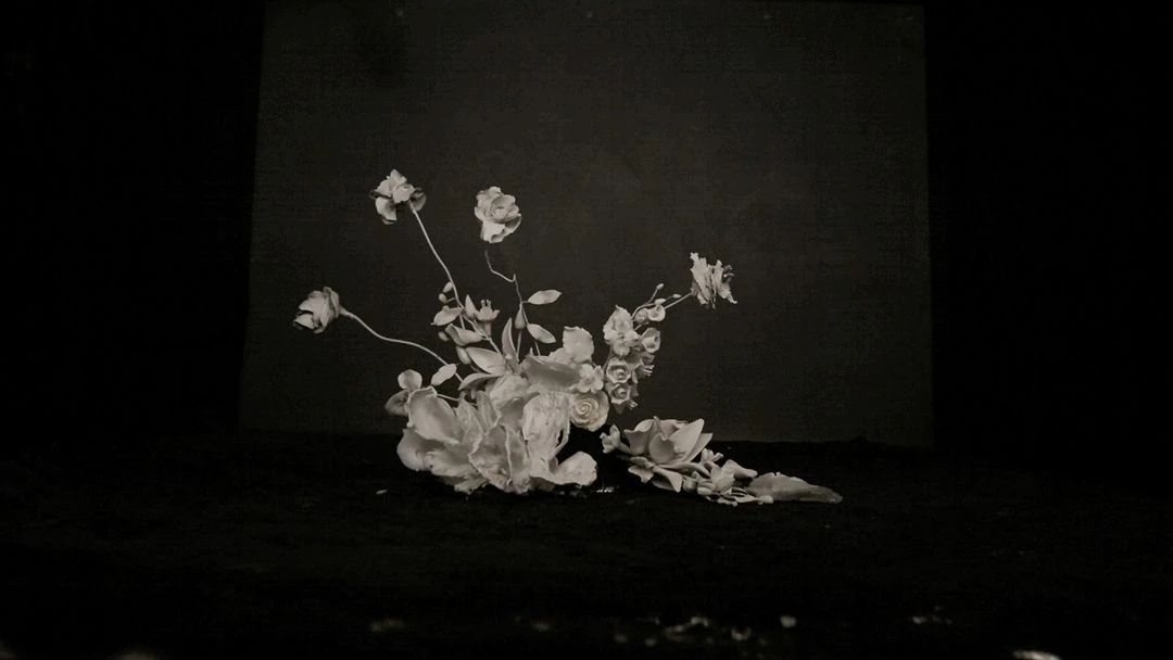 Monochromatic still life featuring a floral arrangement of white roses and leaves against a dark background in a studio setting.