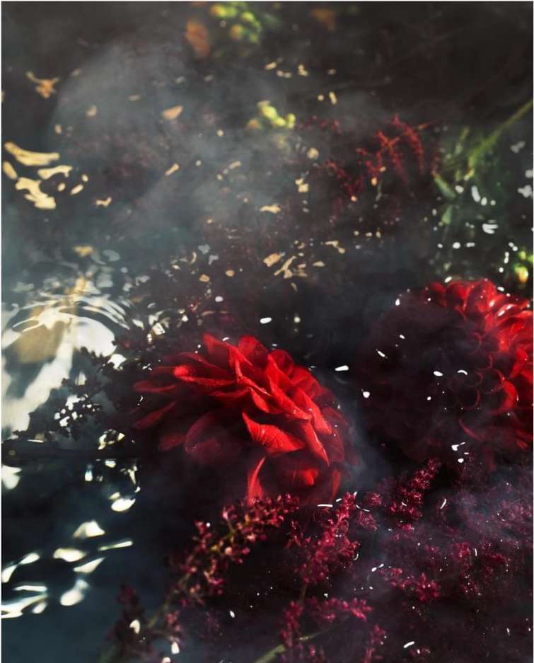 Dramatic floral arrangement featuring deep red dahlias and crimson astilbe against a dark, smoky background, evoking a moody, artistic atmosphere.