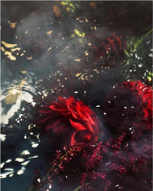 Dramatic floral arrangement featuring deep red dahlias and crimson astilbe against a dark, smoky background, evoking a moody, artistic atmosphere.