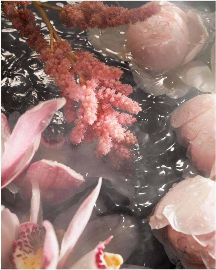 Close-up of pink astilbe and orchid flowers floating in water, creating a serene and soft floral arrangement with a dreamy aesthetic.