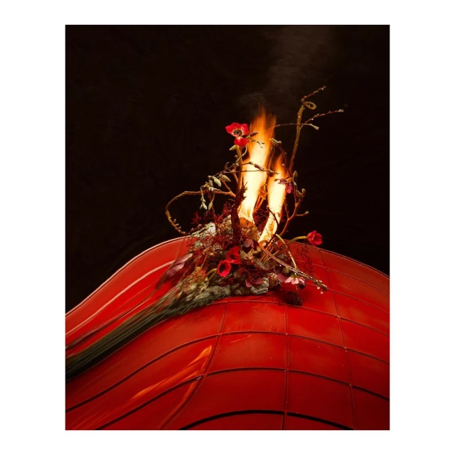 Floral arrangement on red surface with open flame, set against a dark background; artistic still life showcases fire and nature.