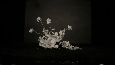 Monochrome still life arrangement of white ceramic flowers set against a dark textured background by photographer Benedict Morgan