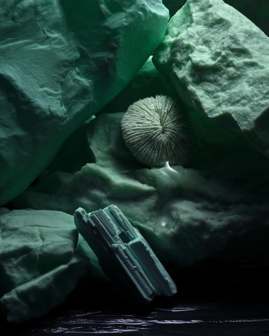 Sea-green geometric rock forms and marine life composition featuring coral structures, casting shadows and creating an underwater aesthetic.