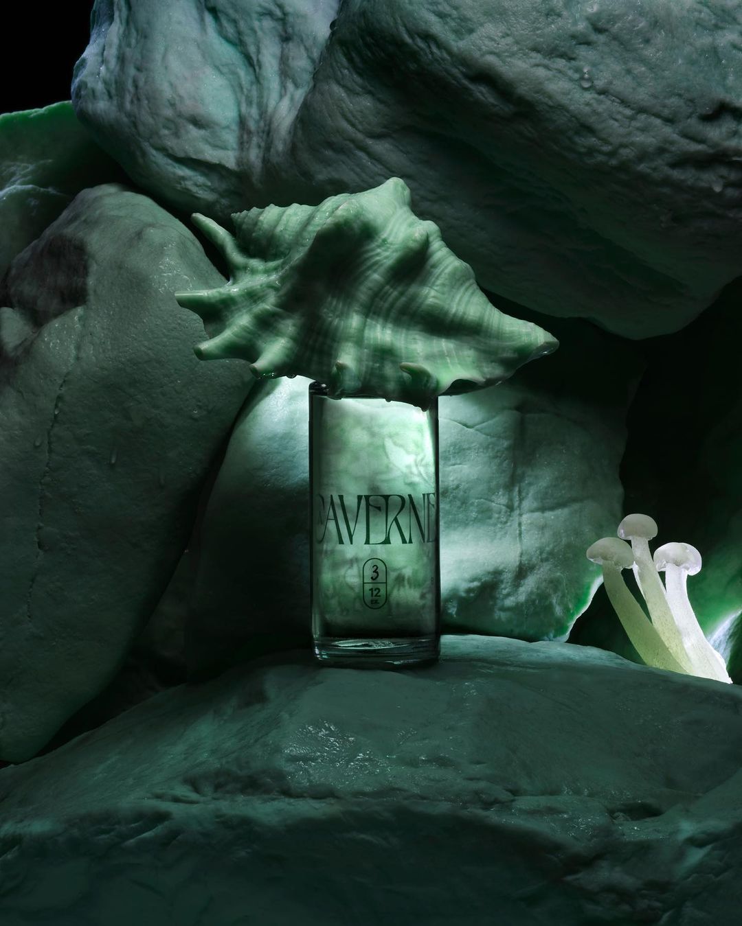 Artistic still life with a glass object, large shell, and mushrooms on stone surface, featuring a monochromatic green color scheme.