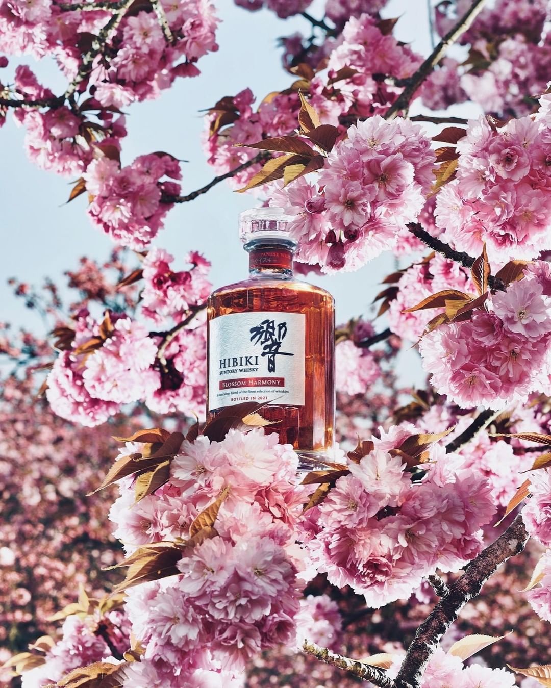 Whiskey bottle of Hibiki Japanese Harmony surrounded by pink cherry blossom branches and flowers, set against a light blue sky.