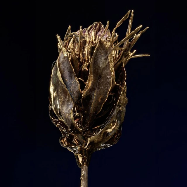 Close-up studio shot of a gold-colored flower bud sculpture on a stem against a dark background; metallic sheen and artistic form.