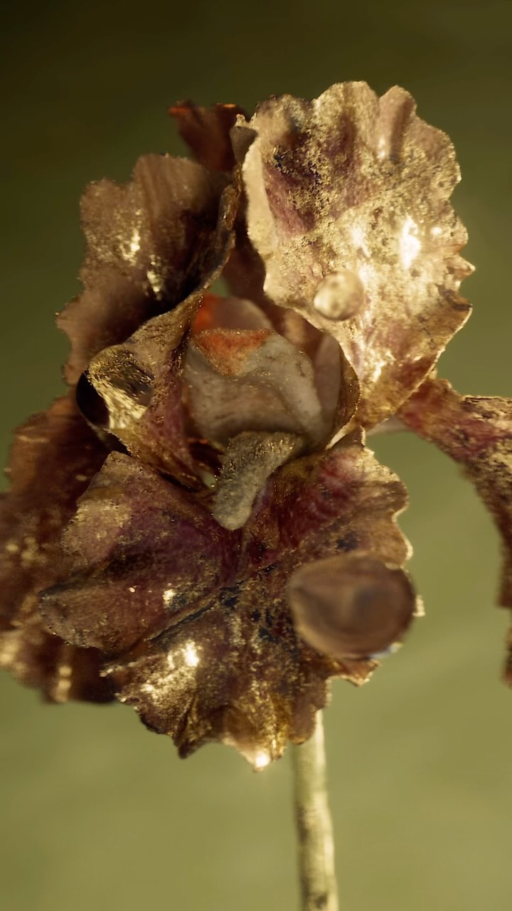 Macro photography of a gold-dusted flower with delicate petals, highlighted with bokeh on a complementary olive green background.