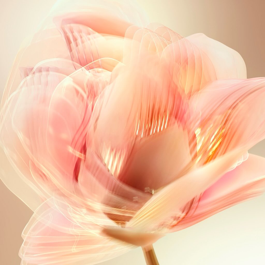 Abstract pink flower bloom with blurred petals in a soft, dreamy style, showcasing delicate floral beauty and gentle, pastel tones.