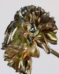 Close-up macro shot of a metallic gold and silver flower bloom against a light background by Benjamin Muzzin.