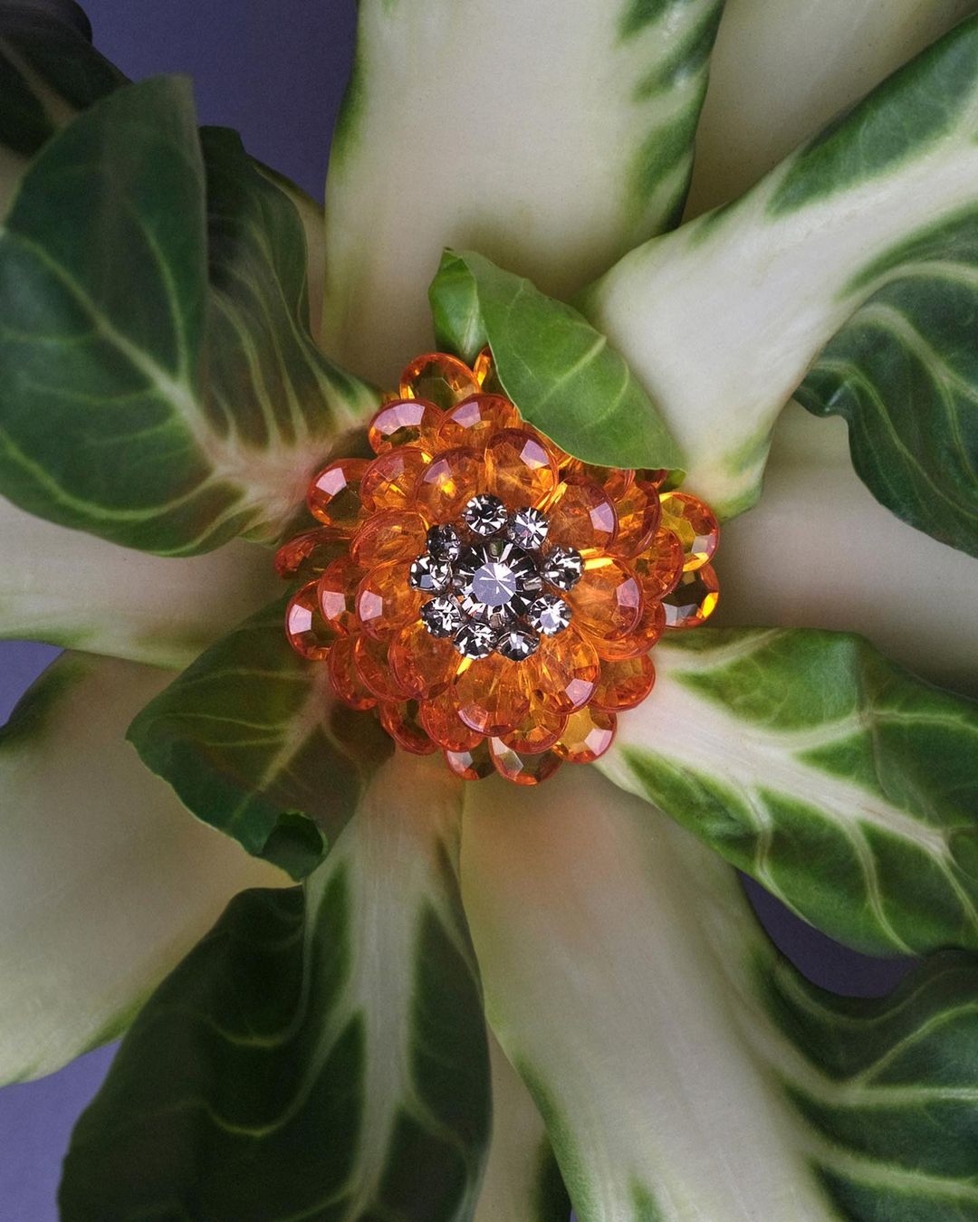 Close-up image of a rosette-style orange beaded brooch with rhinestone accents, pinned onto white and green Swiss chard leaves.