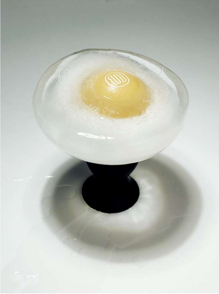 Close-up of a transparent egg-shaped orb on a black pedestal, filled with a yellow yolk-like center surrounded by white, foamy material.