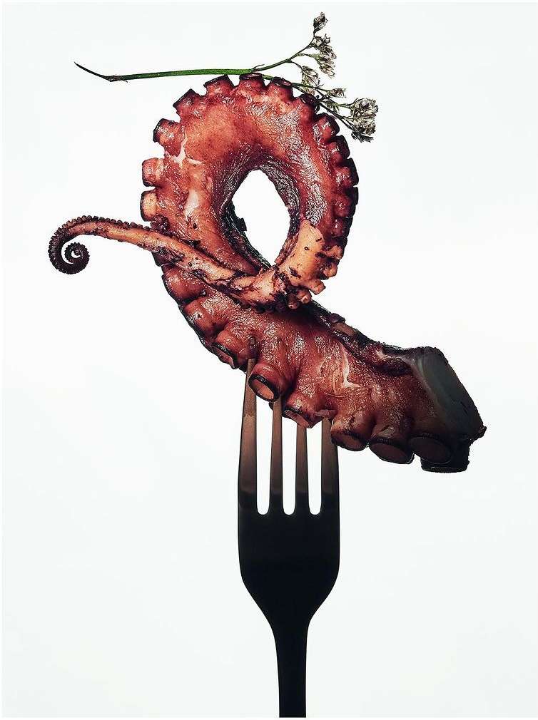 Close-up of grilled octopus tentacle artfully displayed on a fork, adorned with delicate white flowers against a clean white background.