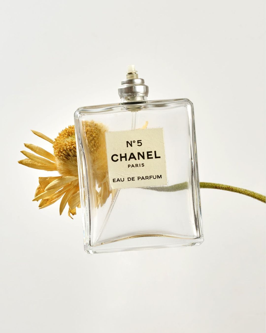 Studio shot of a Chanel No. 5 perfume bottle with a dried flower, presented against a clean white backdrop to highlight the product.