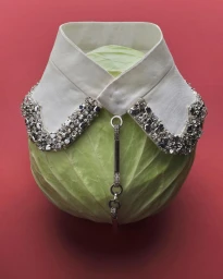White shirt collar with crystal embellishments worn over a pale green cabbage against a solid red background