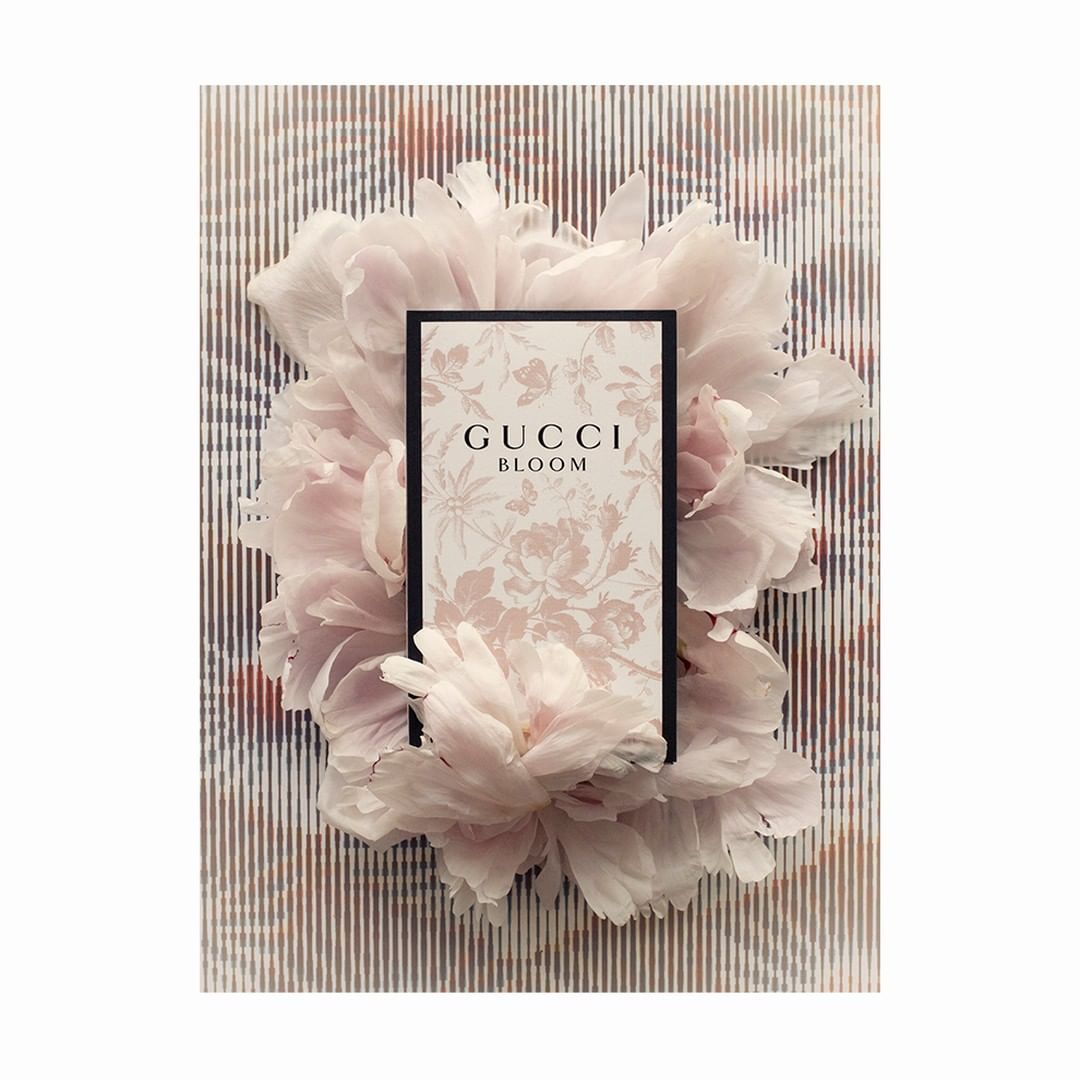 Gucci Bloom perfume product shot featuring a bottle surrounded by light pink peony flowers on a striped background. Fashion, beauty.