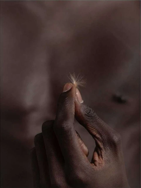 Close-up of a hand with dark skin holding a dandelion seed head against a blurred, warm-toned, neutral background in a studio setting.