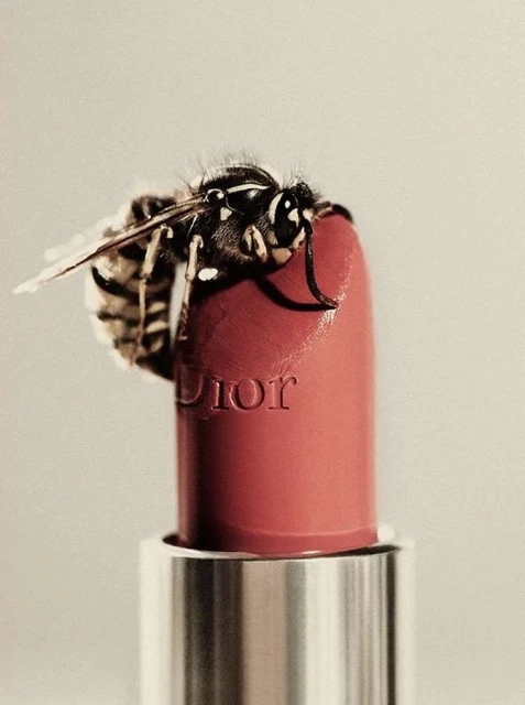 Close-up of a wasp on top of red Dior lipstick, beauty shot, macro insect photography, beauty industry advertisement, white background.