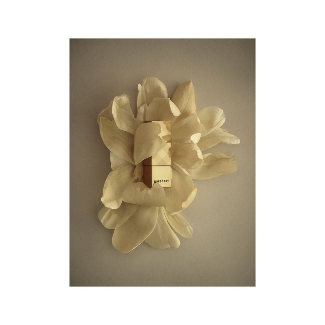 Burberry Her Elixir de Parfum bottle presented amid soft, creamy white flower petals on a light grey surface, studio product shot.