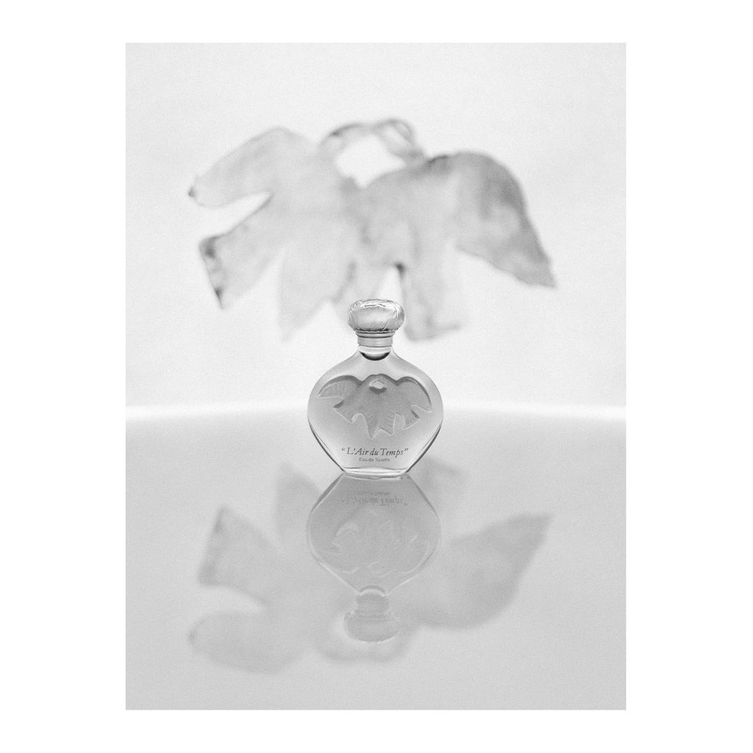Black and white still life of a L'Air du Temps perfume bottle by Nina Ricci, reflected on a glossy surface with a floral background.