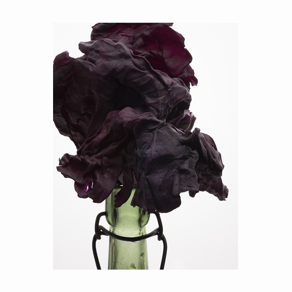 Dark purple ruffled textile arranged like a flower on top of a vintage green glass bottle with metal clasp on a white background.