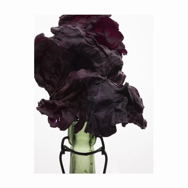 Dark purple ruffled textile arranged like a flower on top of a vintage green glass bottle with metal clasp on a white background.