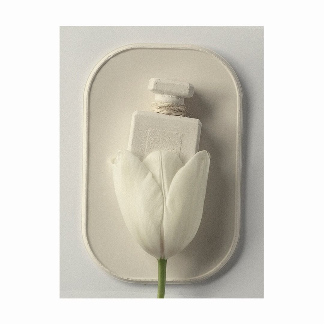 Still life of a white tulip and a perfume bottle against a white background. The flower and bottle are set in a plaster-like oval frame.