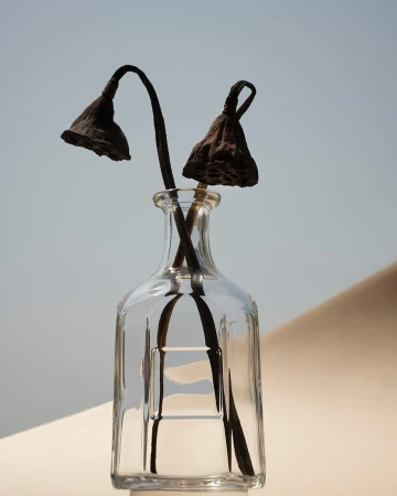 Two dried lotus seed heads in a clear glass vase, set against a soft blue and beige background, create a minimalist, botanical still life.