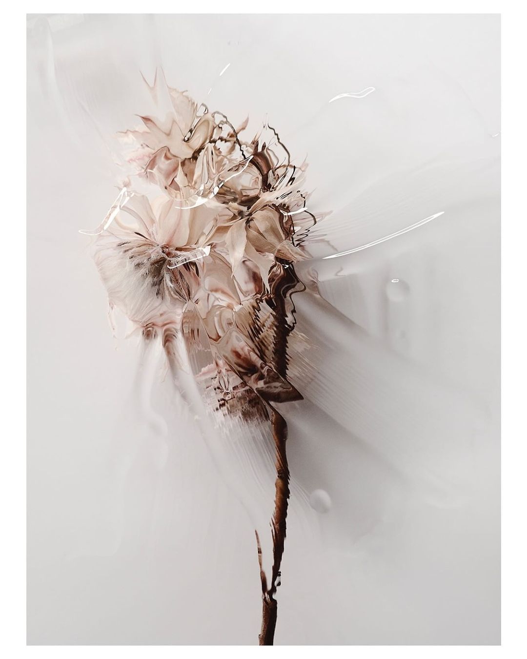 Abstract flower art with flowing liquid textures and soft earth-tone colors against a neutral background, creating a dreamy floral still life.