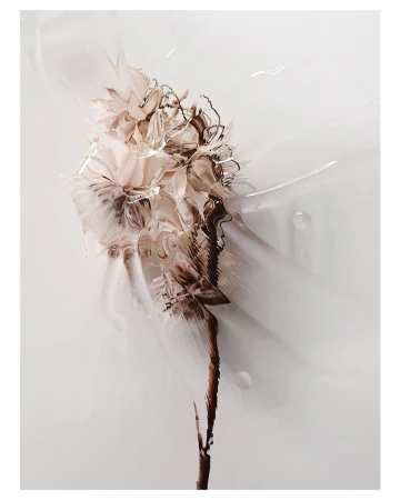 Abstract flower art with flowing liquid textures and soft earth-tone colors against a neutral background, creating a dreamy floral still life.