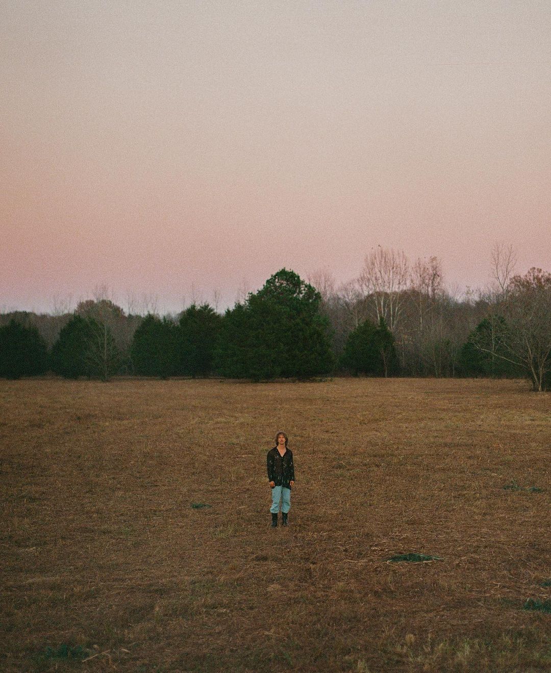 A lone person stands in a vast, golden field under a dusky sky, surrounded by distant trees, creating a serene and expansive scene.