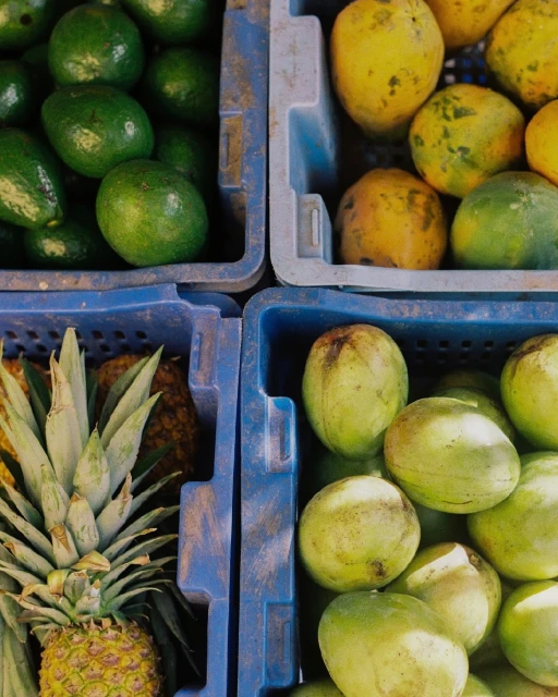 Close-up of avocados, mangoes, and pineapple in blue plastic crates, showcasing a colorful assortment of fresh tropical fruits.