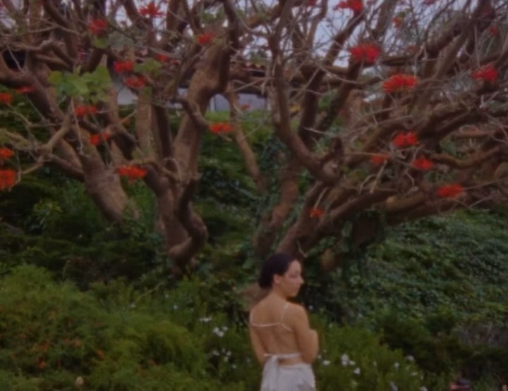Woman in white dress stands in garden with lush green foliage and a tree with bright red flowers. Serene outdoor scene.