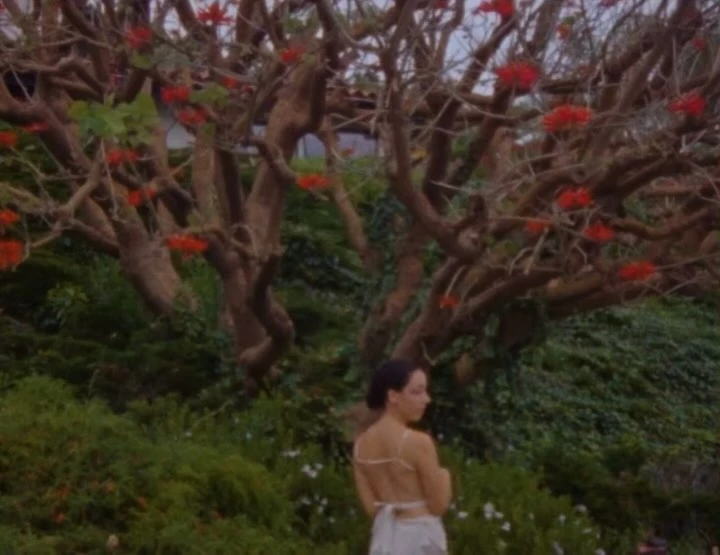 Woman in white dress stands in garden with lush green foliage and a tree with bright red flowers. Serene outdoor scene.